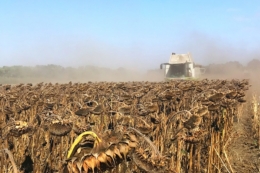 Аграрії Черкащини намолотили майже 4,5 млн тонн зерна