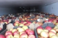 Українські садівники скаржаться на затримки яблук на кордоні