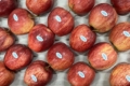 Експерт назвав нові ринки українських яблук