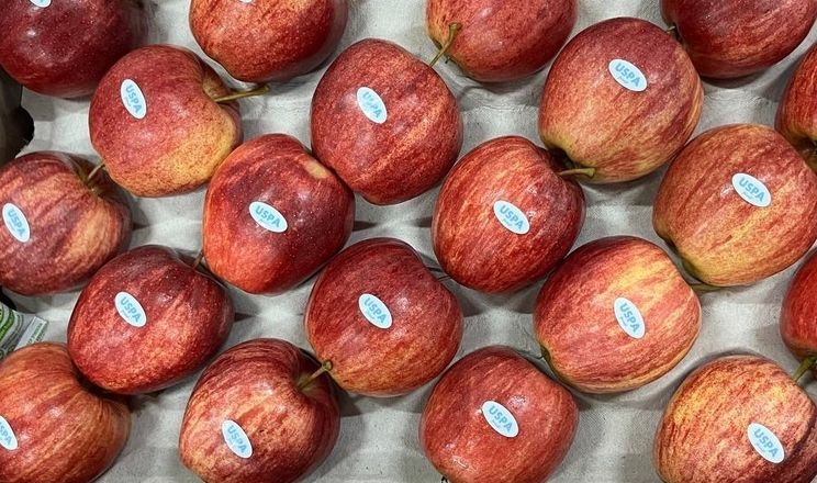Експерт назвав нові ринки українських яблук