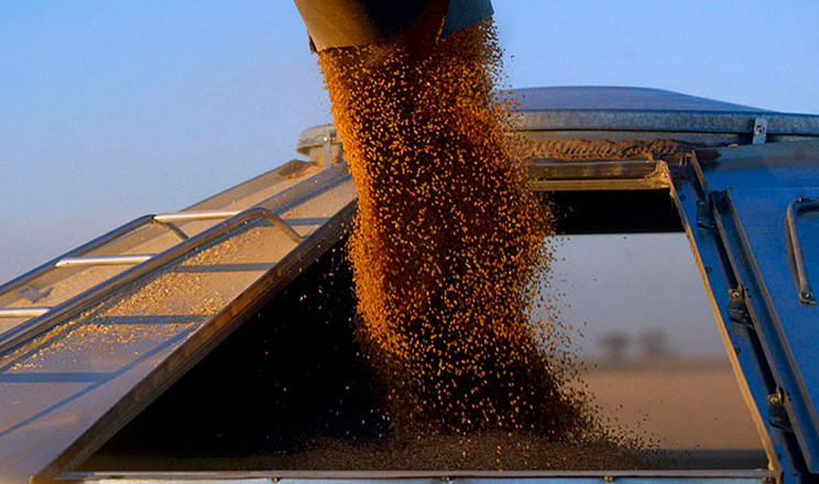 Експорт зерна перевищив 6,8 млн тонн