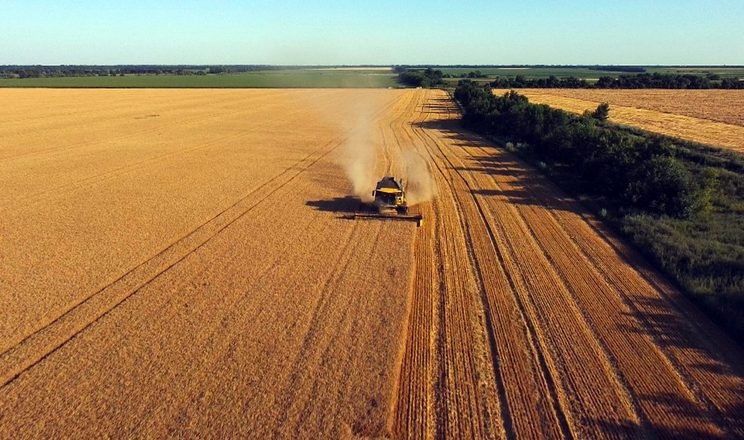 «Прометей» збирає пшеницю з урожайністю 7 т/га