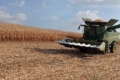 Збирання кукурудзи в «Агро-Ормс» завершили з урожайністю понад 10 т/га