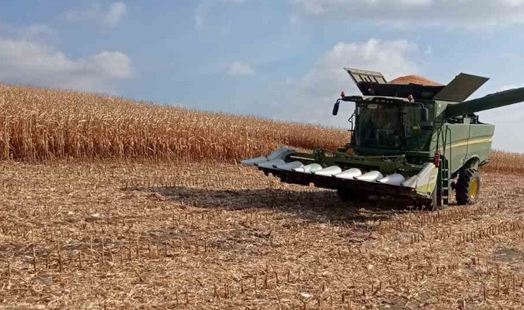 Збирання кукурудзи в «Агро-Ормс» завершили з урожайністю понад 10 т/га