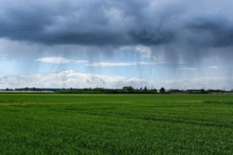 Погода в Україні: дощі з грозами в частині областей