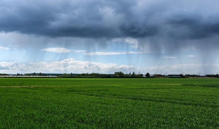 Погода в Україні: вдень короткочасні дощі, місцями грози