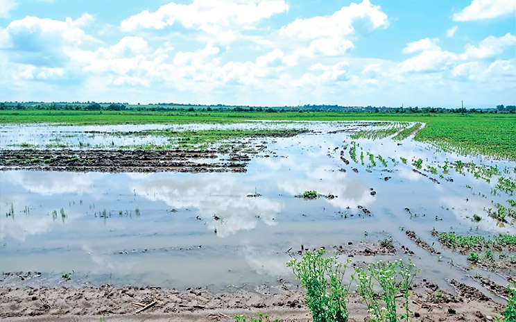 Коли до загальних труднощів аграрія додаються погодні катаклізми, життя перетворюється на пекло