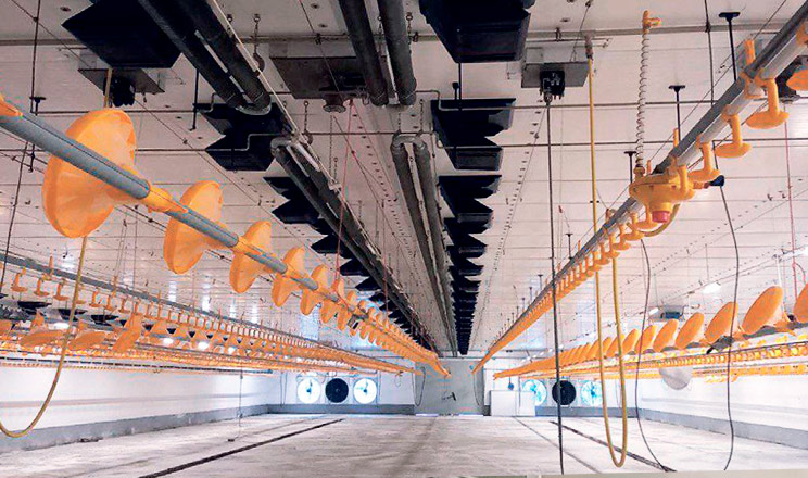 Запровадження високоефективних та енергоощадних технологій забезпечить комфортний мікроклімат у пташнику й заощадить кошти