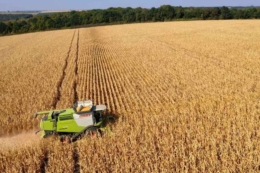 ФГ «Авангард-Т» на Кіровоградщині перегляне підхід до вибору гібридів за ФАО
