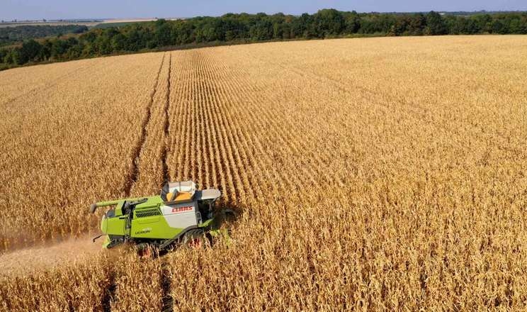 «Укрпромінвест-Агро» зібрав кукурудзу з урожайністю понад 9 т/га