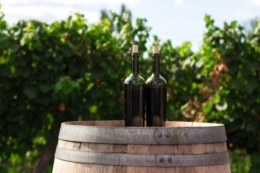 В Україні з’явилося 70 нових виноробень під час війни