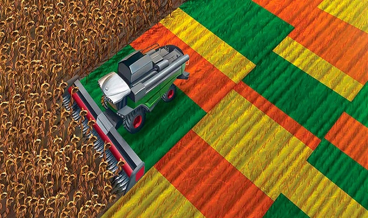 Kernel використовує автопілот та картування врожайності під час збору кукурудзи