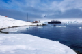 Українські судна почали промисловий вилов у водах Антарктики