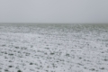 Погода в Україні: опади в частині областей