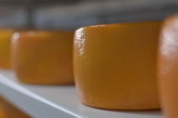 Продажі сирів падають, склади переповнюються