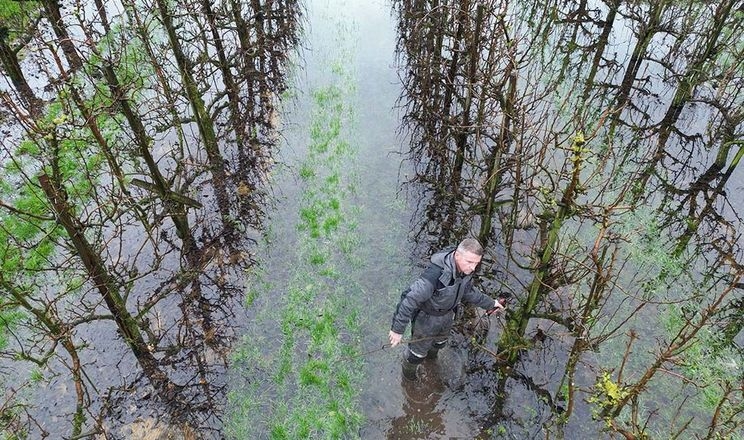 Велика кількість опадів заважає обрізувати сади в Нідерландах