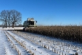 «Агротрейд» відновив збирання кукурудзи на Чернігівщині