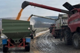 Держпродспоживслужба формує списки експортерів та місць зберігання кукурудзи і сої до КНР