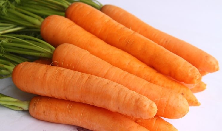 У Бразилії розробили гібрид моркви, стійкий до хвороб