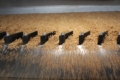 АФ «Ольгопіль» контролює якість зерна на всіх етапах завдяки власній лабораторії  
