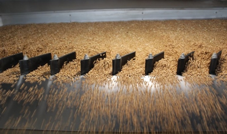 АФ «Ольгопіль» контролює якість зерна на всіх етапах завдяки власній лабораторії  