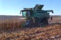 Зимове збирання кукурудзи триває в «ТАС Агро Північ»