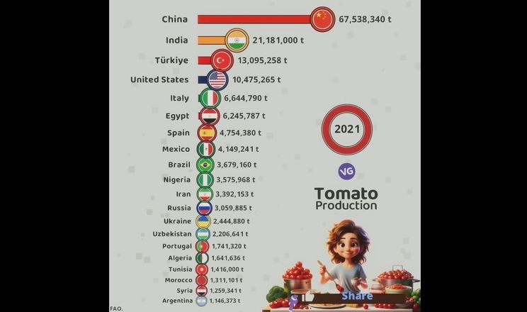 На відео показали, як змінилося світове виробництво томатів 