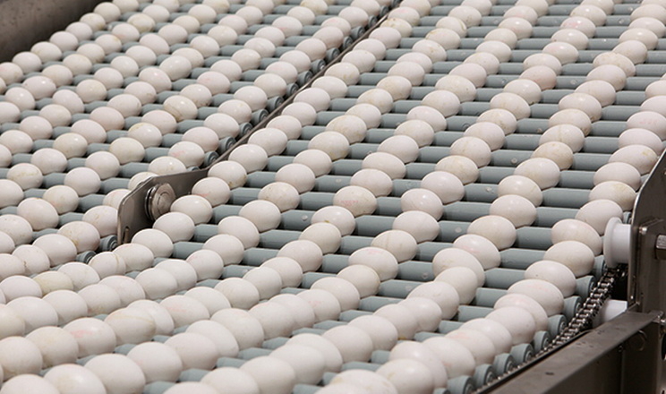 Експорт яєць у 2023 році приніс $60,8 млн
