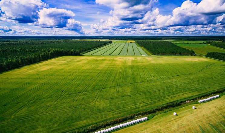Юрособи викупили 1,77% від загальної площі земель для ведення сільгоспвиробництва