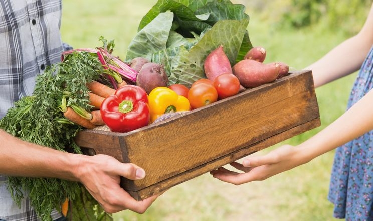 «Сільпо» придбало службу доставки фруктів і овочів 