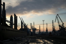 До 80% олії експортують через порти Великої Одеси