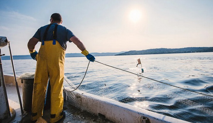 Оголошено лоти на вилов риби в Березанському лимані, Дніпрі й Десні з озерами