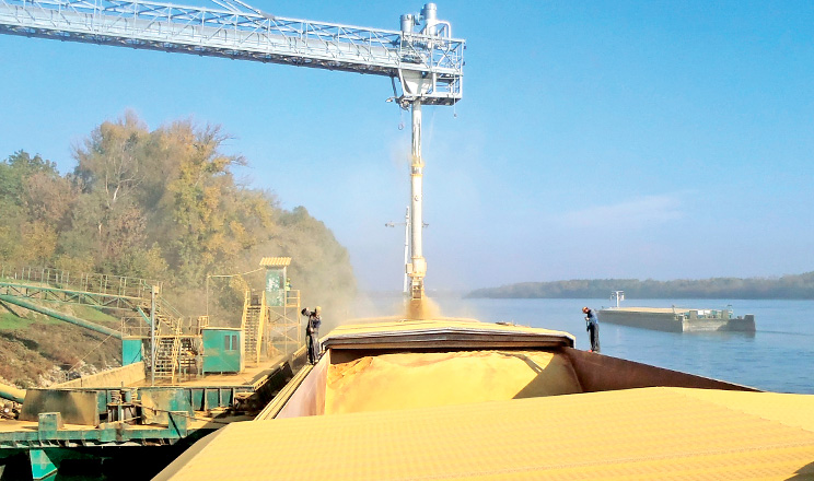 Україна має всі шанси вийти на довоєнні показники експорту агропродукції