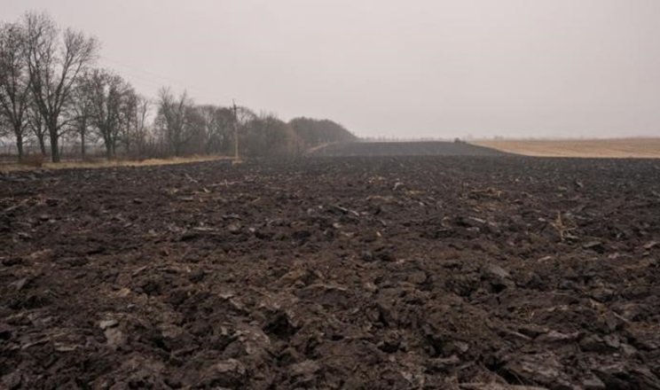 Запаси продуктивної вологи в ґрунті на півночі Одещини достатні та оптимальні