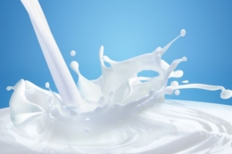 Закупівельні ціни на молоко-сировину стабілізуються