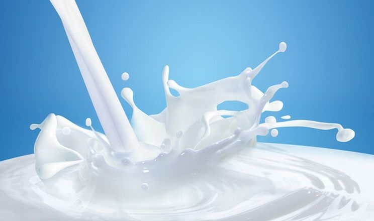 Молоко-сировина подешевшала на 38 коп.