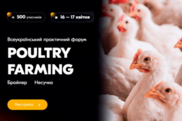 На Міжнародному форумі Poultry Farming обговорять, як птахівництву утримувати флагманські позиції