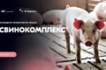 Ветеринарних фахівців свиногосподарств чекають на Міжнародному ветеринарному форумі