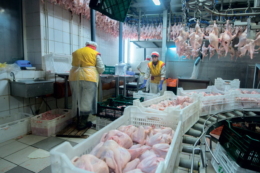 Виробництво м’яса птиці зросте на 0,4%, його експорт ‒ на 6,5%, ‒ прогноз