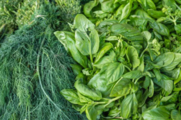 Вирощування зелені понад 55 днів стає економічно невигідним