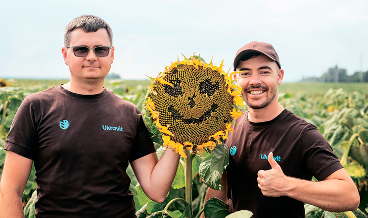 Знизити витрати, зберегти врожайність: Як вирощуватимуть соняшник в сезоні – 2024?