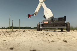 Автономний робот-комбайн зрізає спаржу