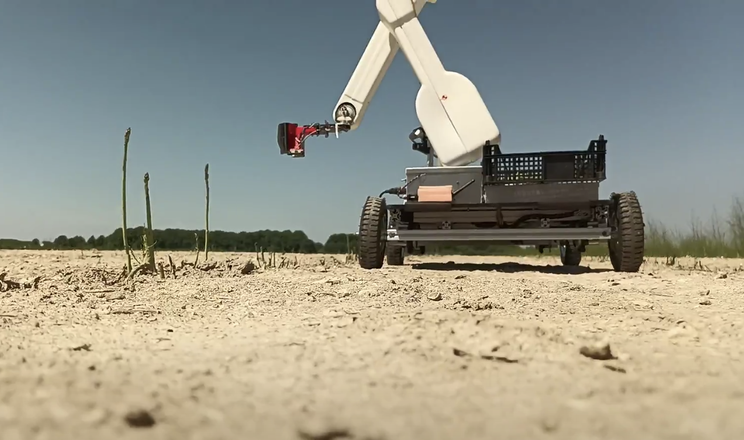 Автономний робот-комбайн зрізає спаржу