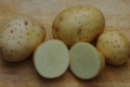 Британські вчені працюють над картоплею швидкого приготування