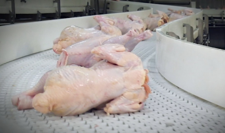 Експорт м'яса птиці за 2 місяці приніс на 23% більше виторгу