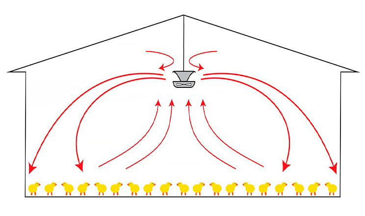 Зниження температурного розшарування повітря в приміщенні підвищує комфорт тварин і знижує витрати фермера на енергію