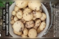 На Закарпатті почали збирати ранню картоплю