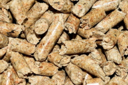 Україна оновила місячний максимум з експорту соєвого шроту