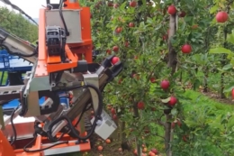 Садовий робот Slopehelper виконує майже всі роботи