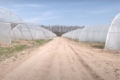 На Вінничині фермер з грантовою підтримкою будує 32 теплиці